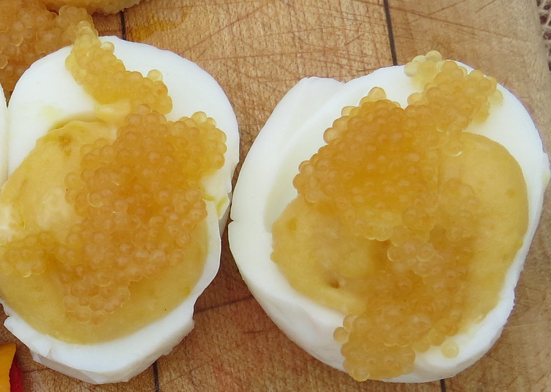 Edmonton and Area Land Trust / Flickr.com