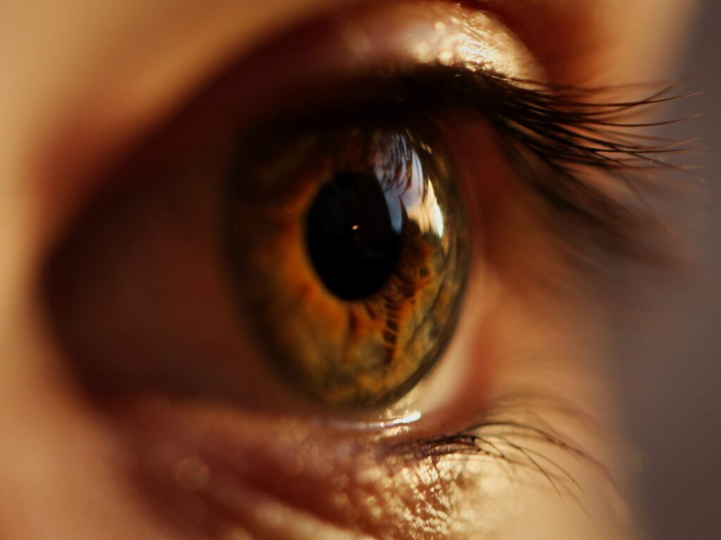 yellow and gray eyeball