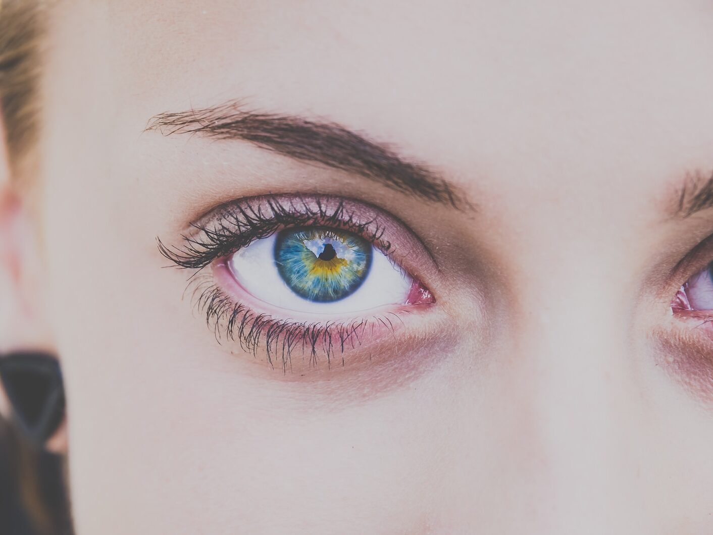 close up photography of woman's right eye