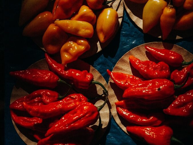 Foto:Marcos Paulo Prado