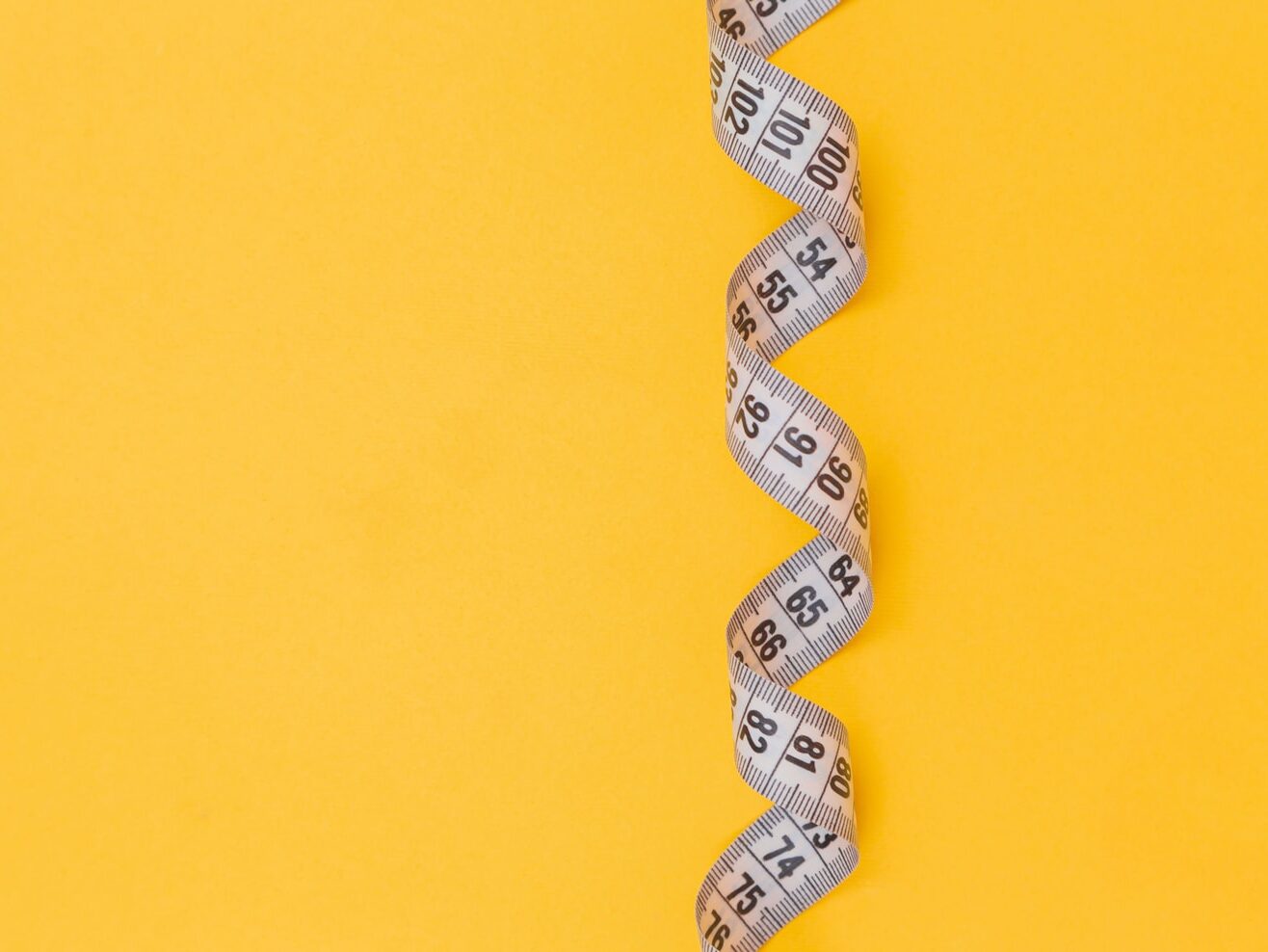 black and white snake on yellow background