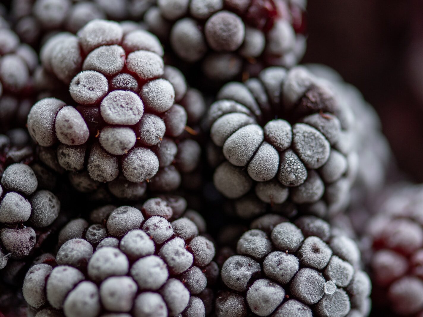 black and white round fruits