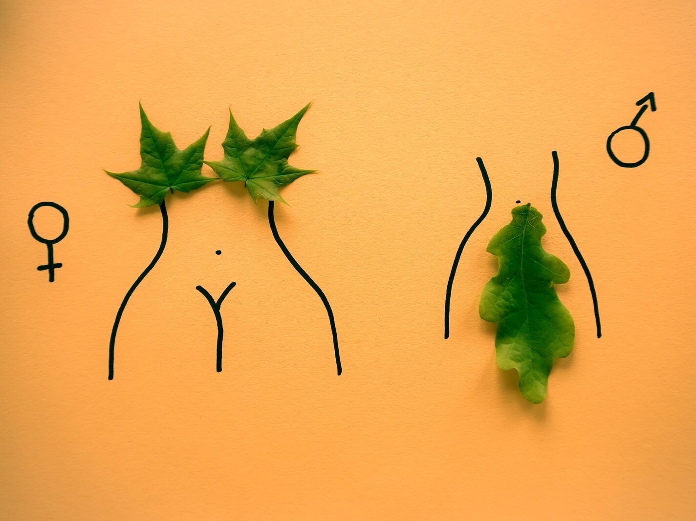 green leaves on brown wall