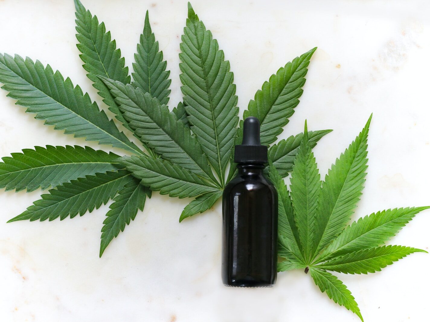 - ČasProŽeny.cz green cannabis leaves and black glass drops bottle