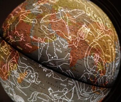 brown and white printed textile