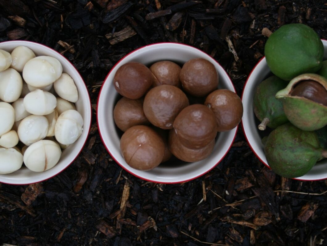 Photo by Phillip Larking - ČasProŽeny.cz white round ceramic bowls with white round fruits