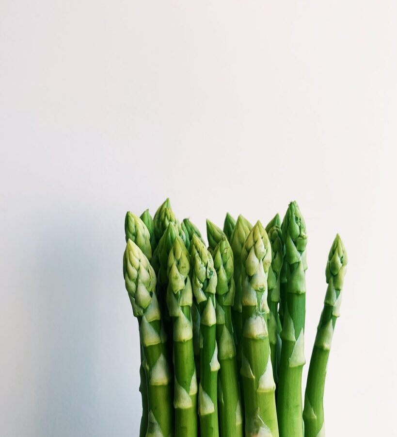 green plant on white background