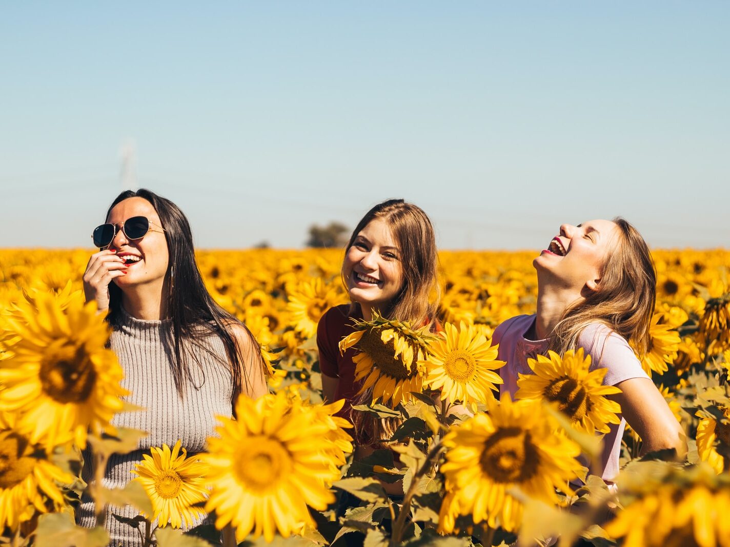 woman in white and black striped shirt standing on yellow sunflower field during daytime