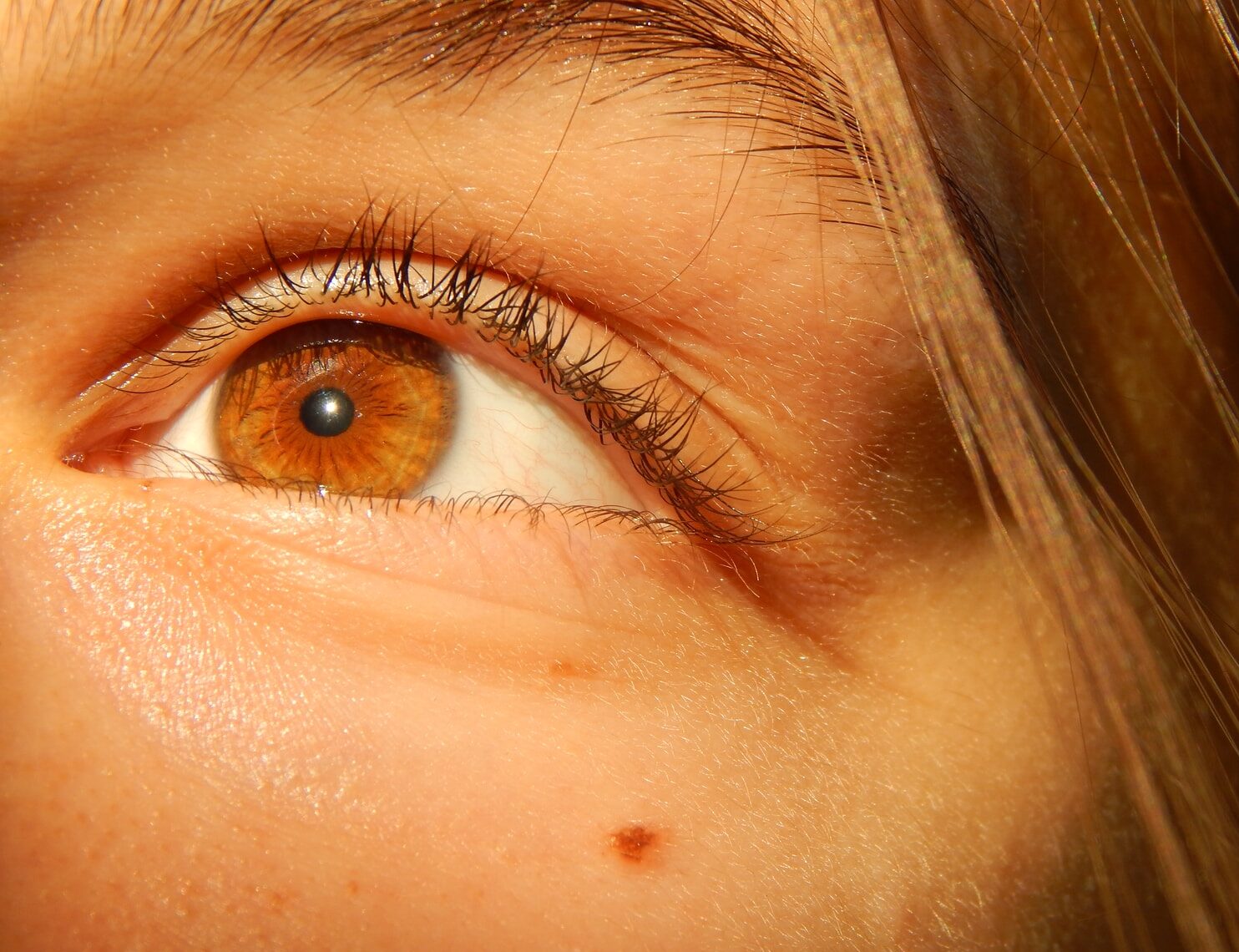 persons brown eyes and brown hair