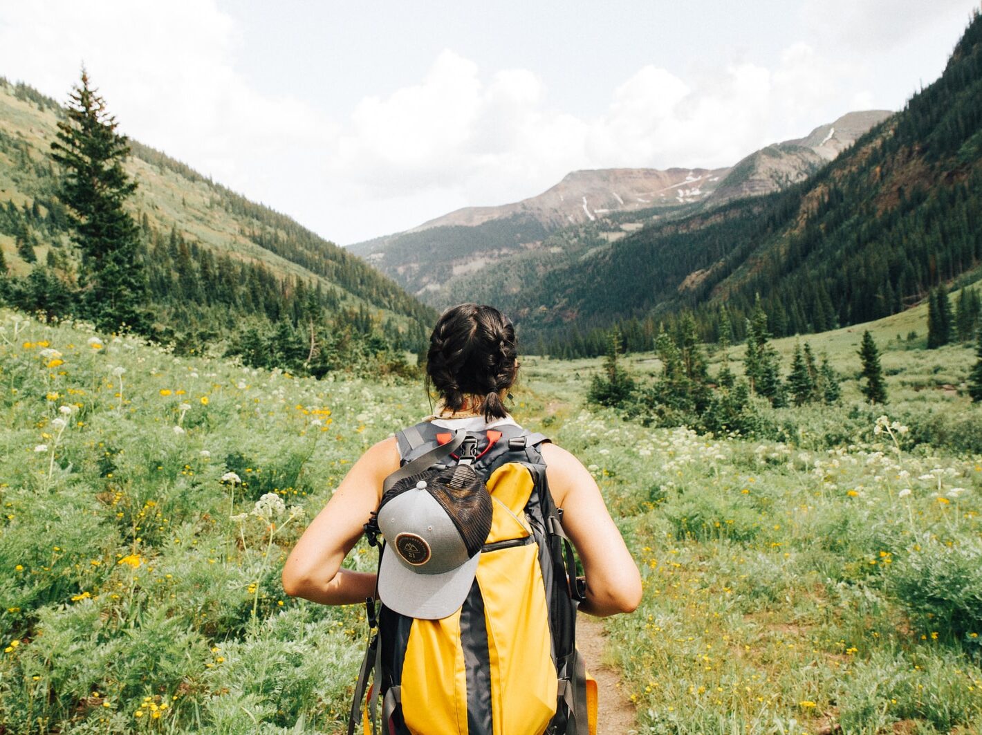 person carrying yellow and black backpack walking between green plants
