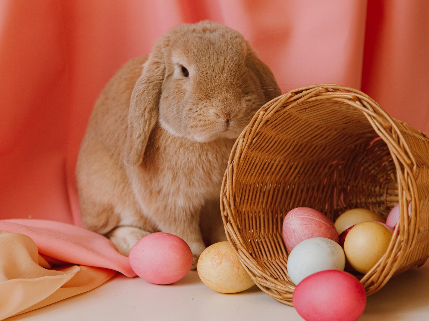 Colored Eggs In A Basket Beside A Bunny