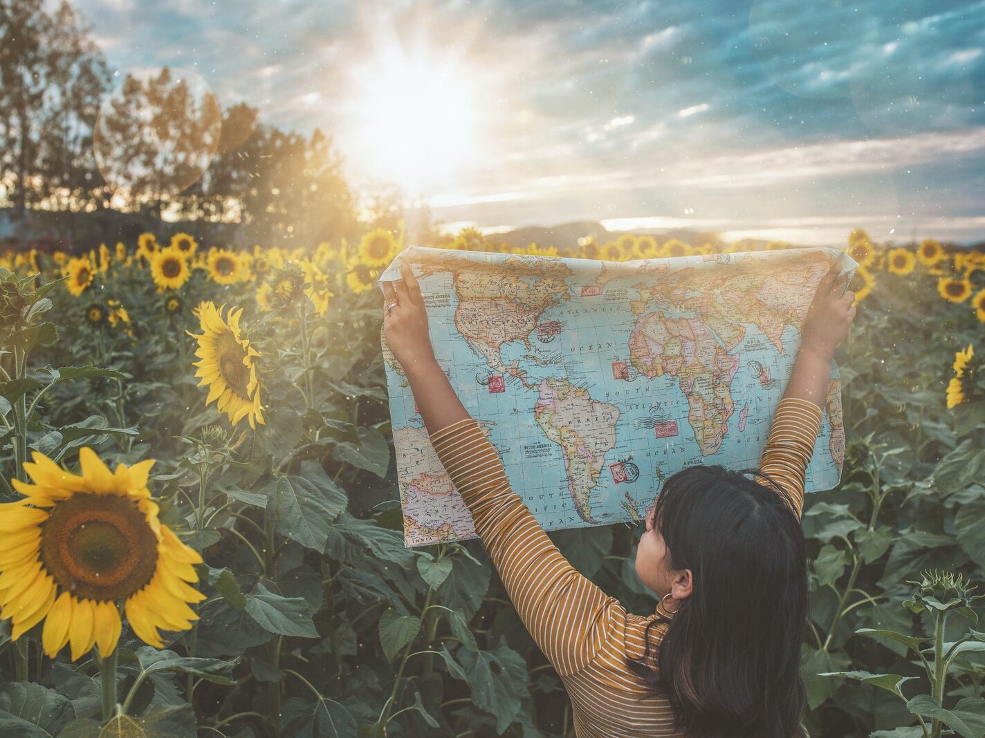woman in brown and white stripe long sleeve shirt holding sunflower during daytime