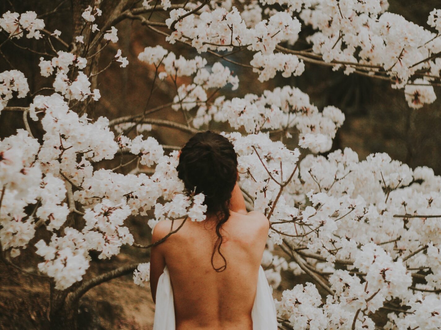 topless person standing near white petaled flowers