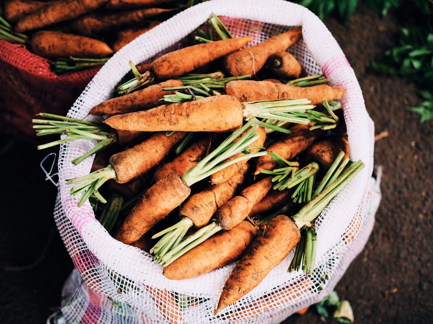 ripe carrots inside white net sack