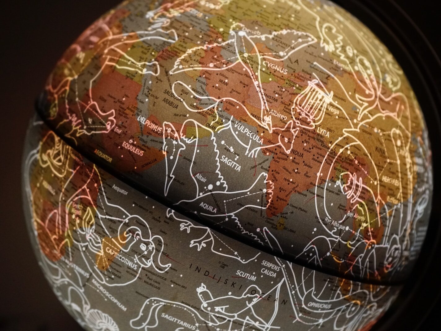 brown and white printed textile