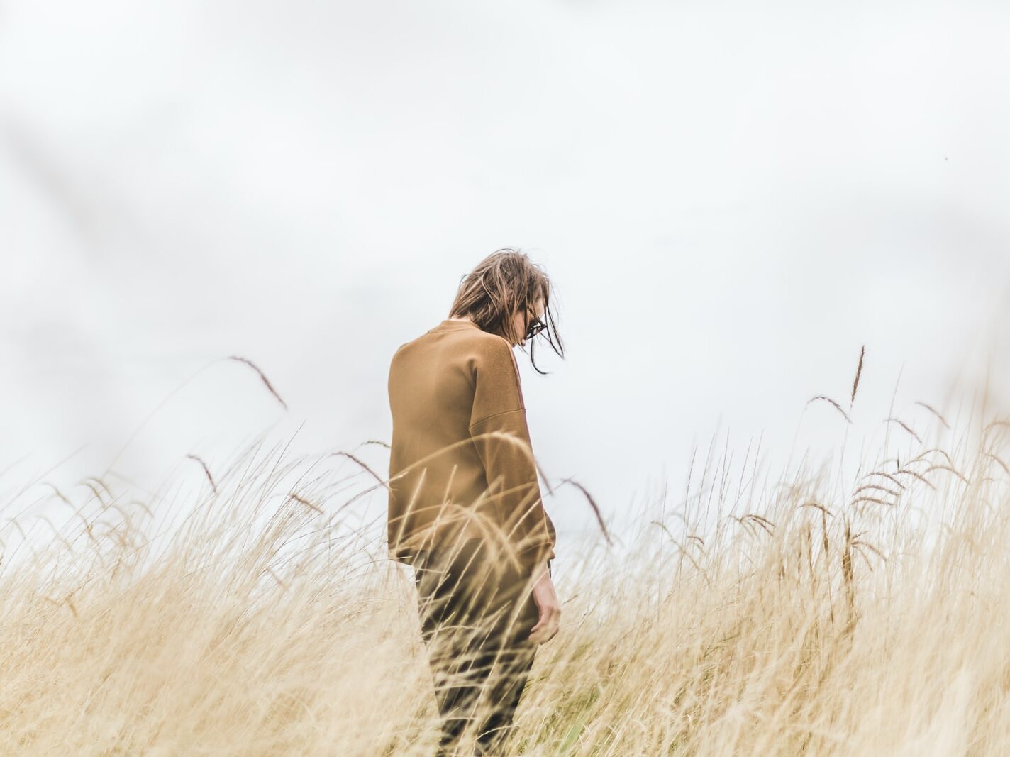 person standing in the middle of wheat field