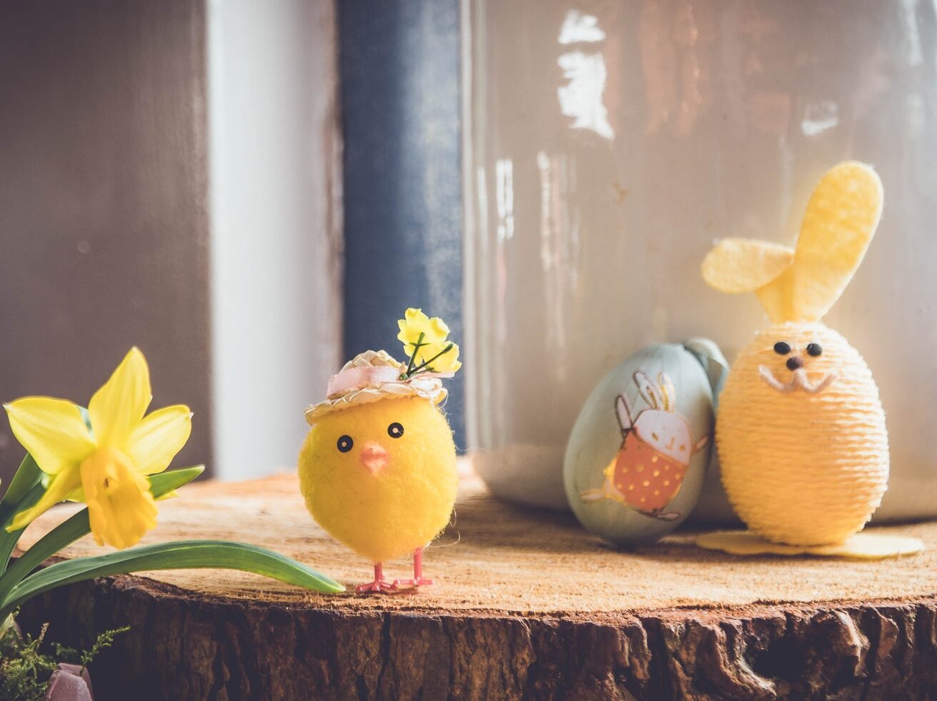 yellow bird plush toy on brown wood