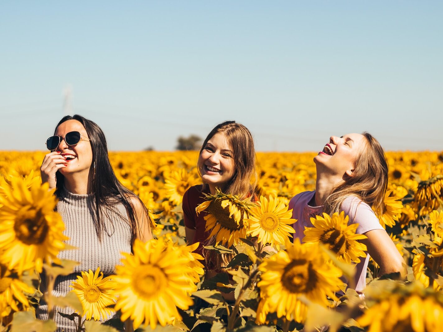 woman in white and black striped shirt standing on yellow sunflower field during daytime