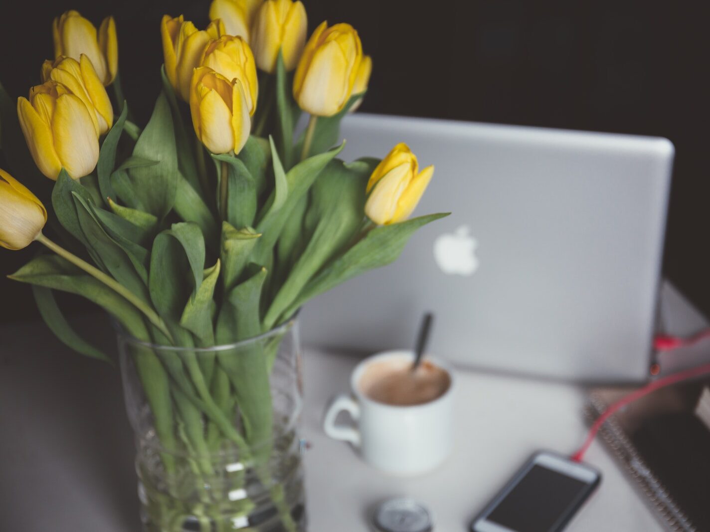 yellow tulips in glass vase