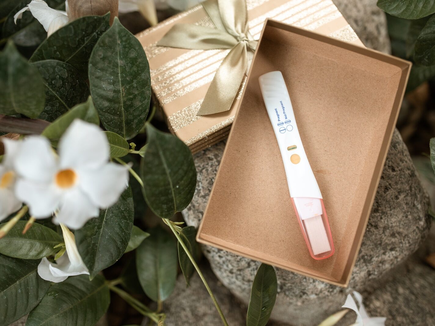 White Flower Beside Brown Box