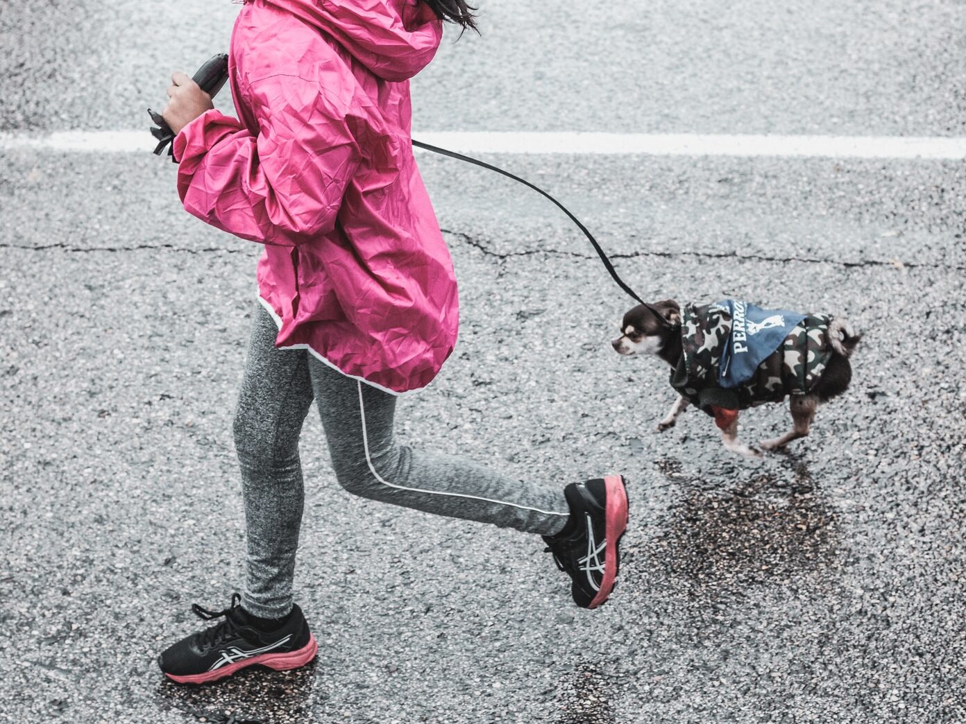 girl holding leash during daytime