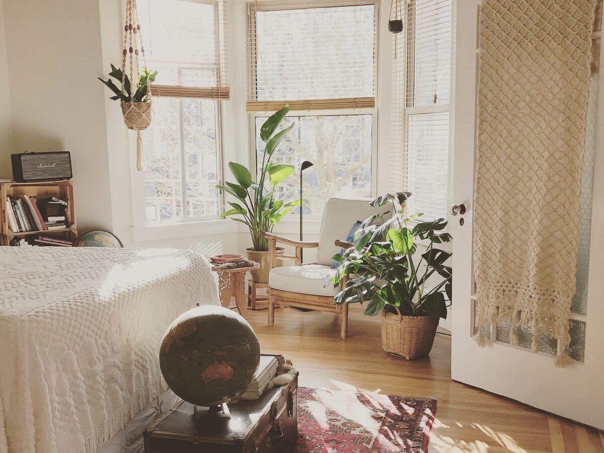 brown wooden framed white padded chair in between green indoor leaf plants inside bedroom
