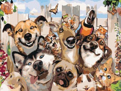 Vyzkoušejte malování podle čísel – 5 motivů, pro zábavu i relaxaci