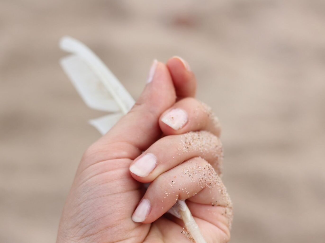 person holding white feather