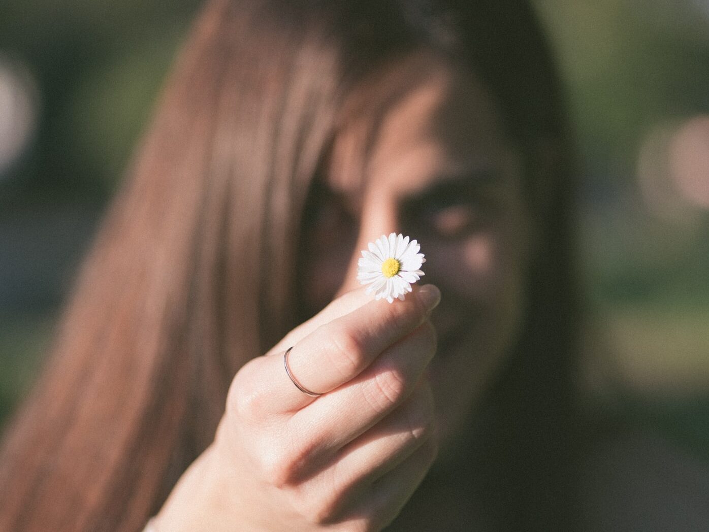 selective focus photo of woman holding white aster flower