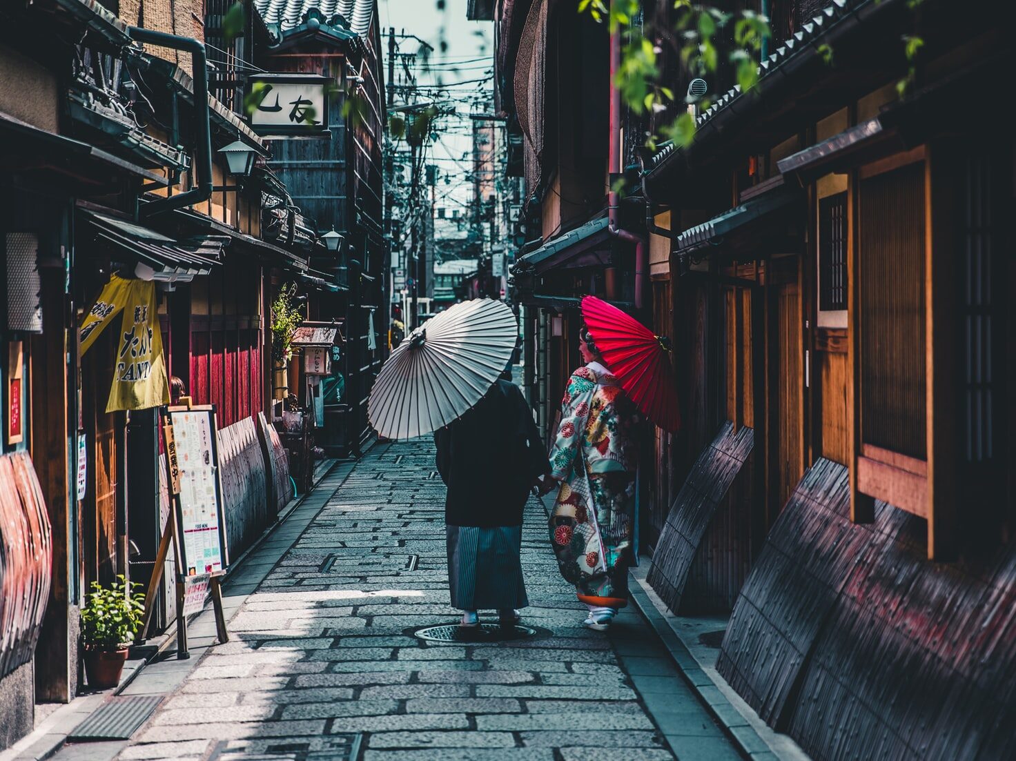 person walking on street while holding umbrella