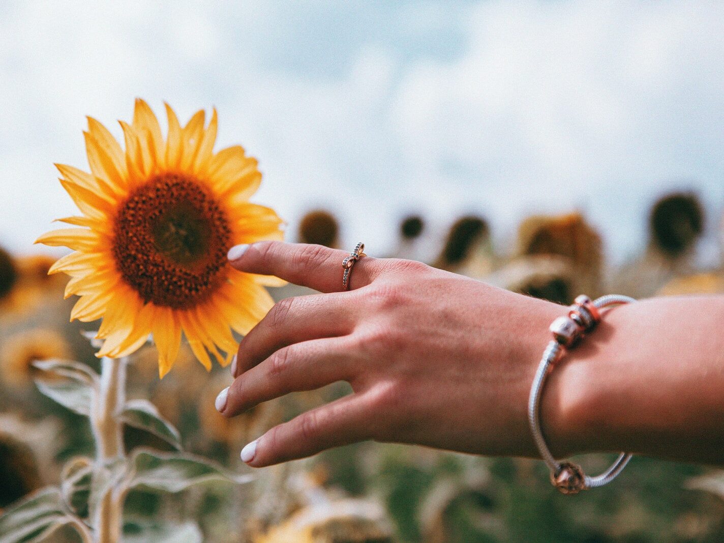 person holding sunflower during daytime