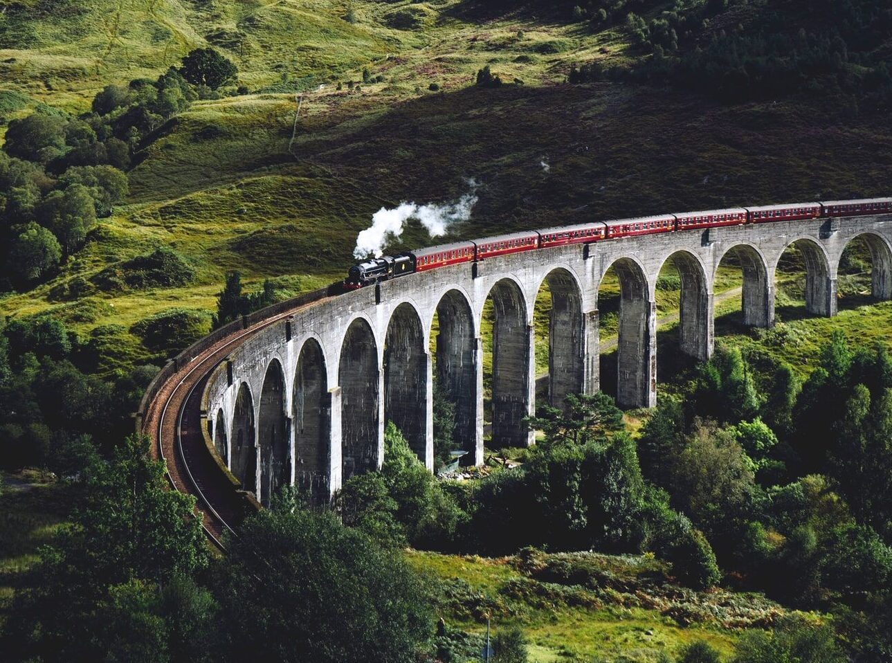 train on bridge surrounded with trees at daytime