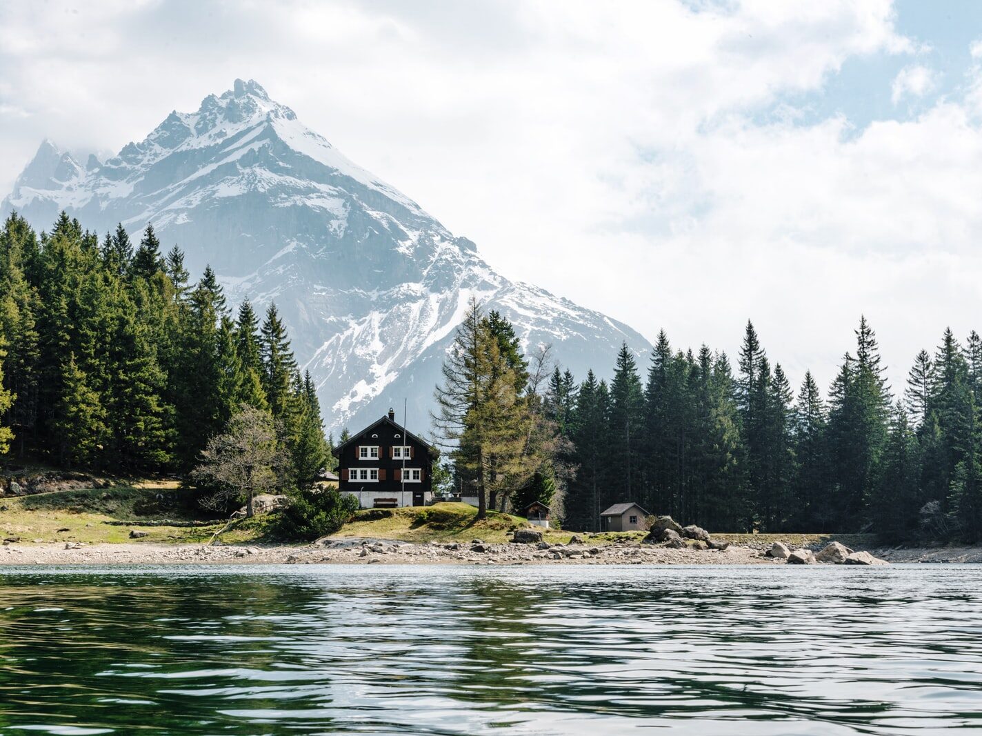 black painted house in the middle of the trees