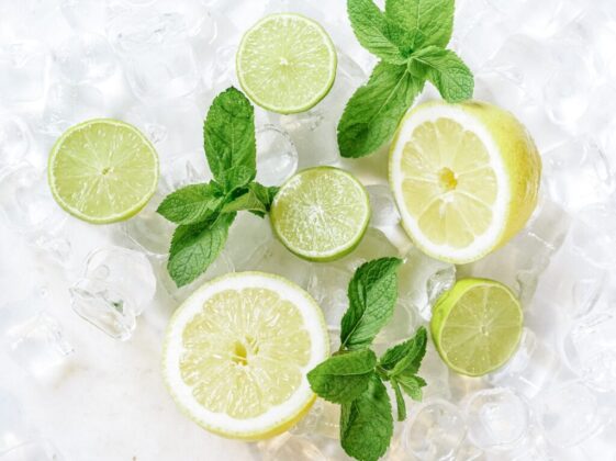 Iced Sliced Lemon on Clear Drinking Glass