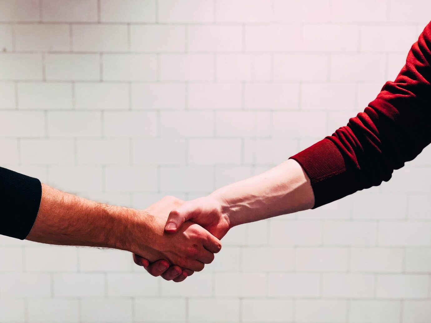 two person shaking hands near white painted wall