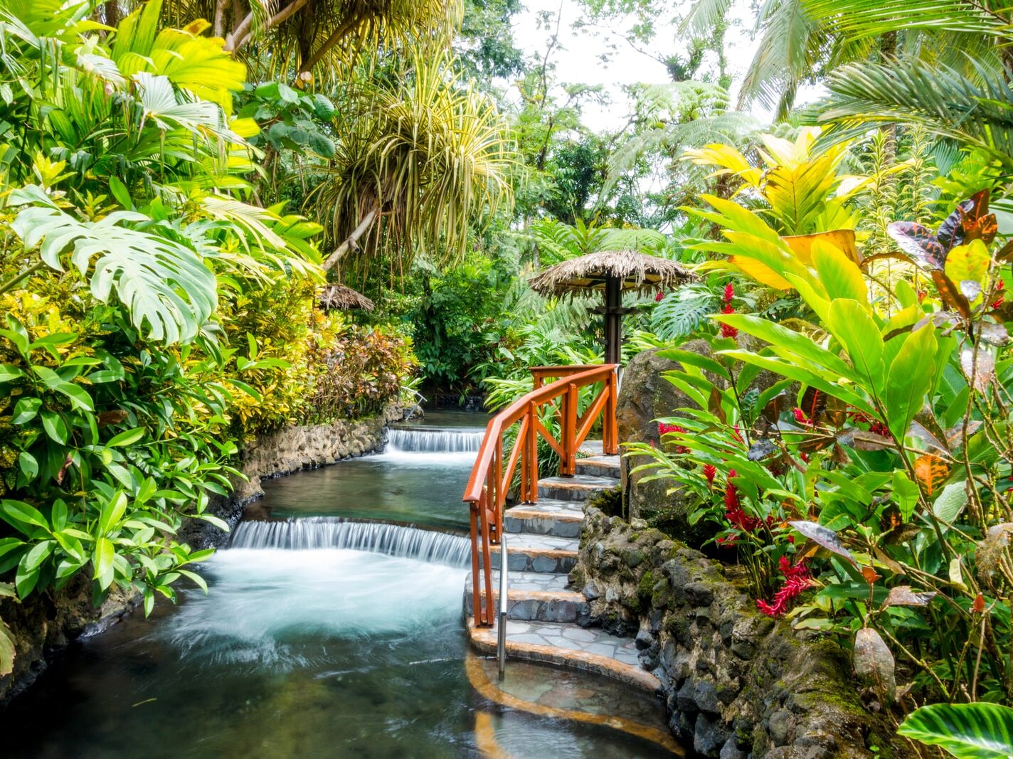 brown wooden bridge over river