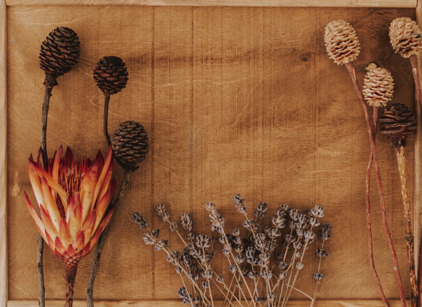 Dried flowers