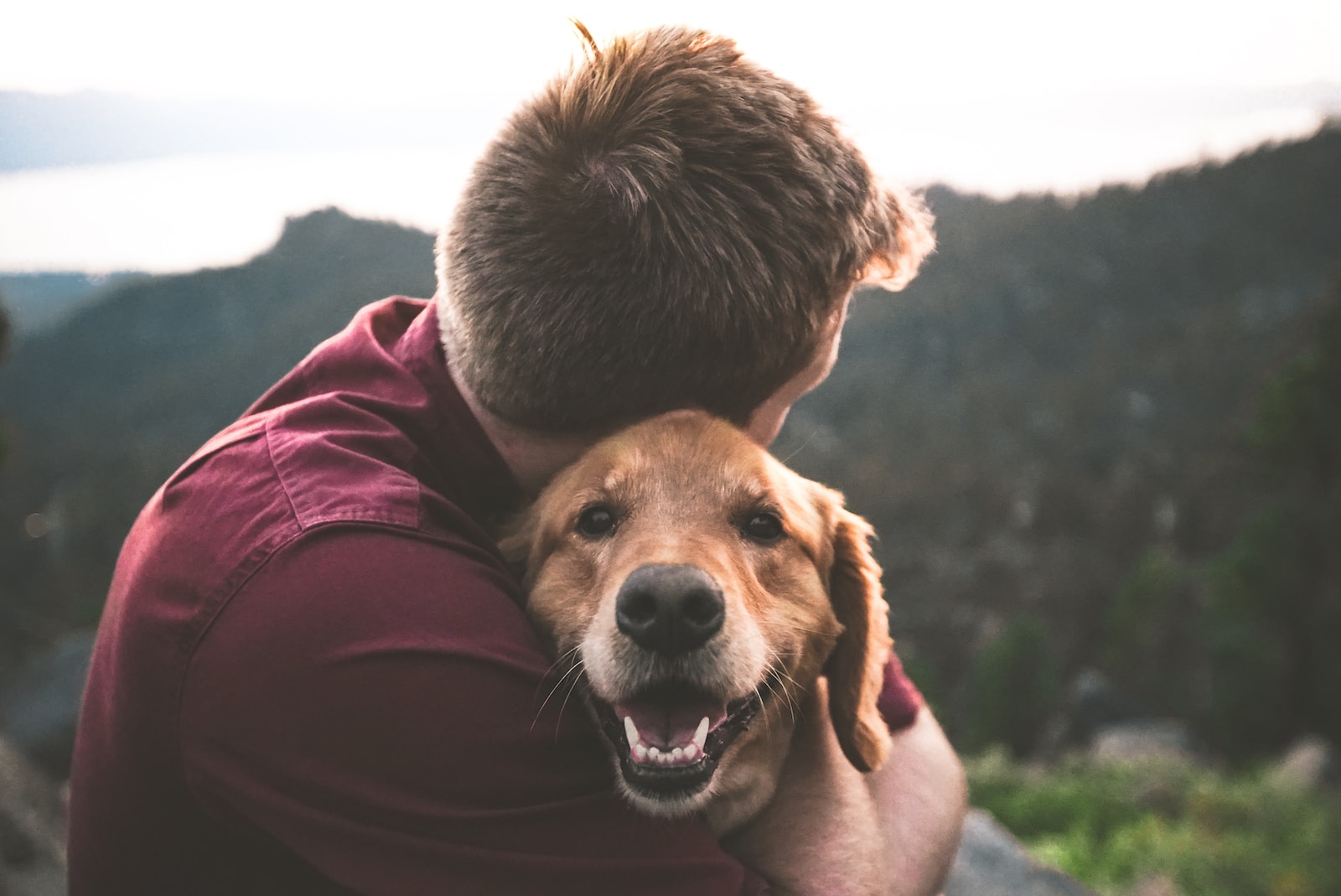 - ČasProŽeny.cz photo of man hugging tan dog
