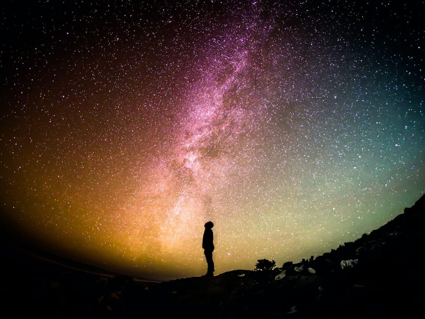 silhouette photography of person