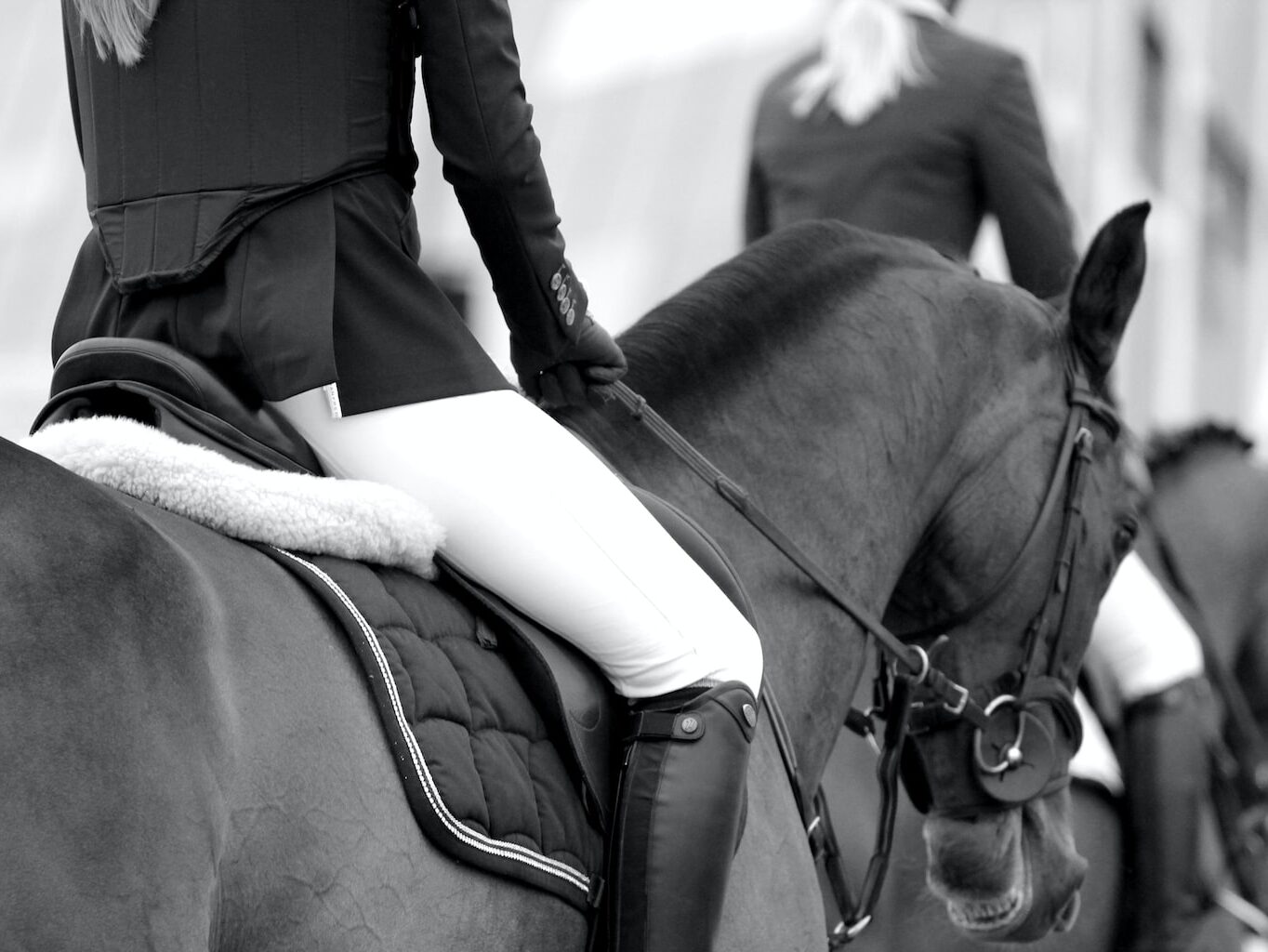 grayscale photography of woman riding on horse