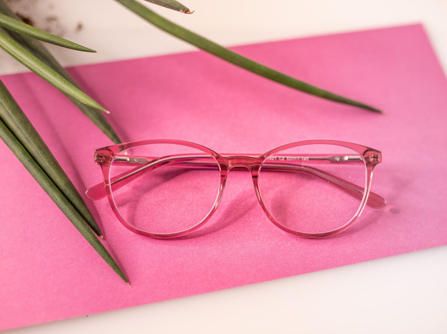 Eyeglasses on pink surface near houseplant leaves