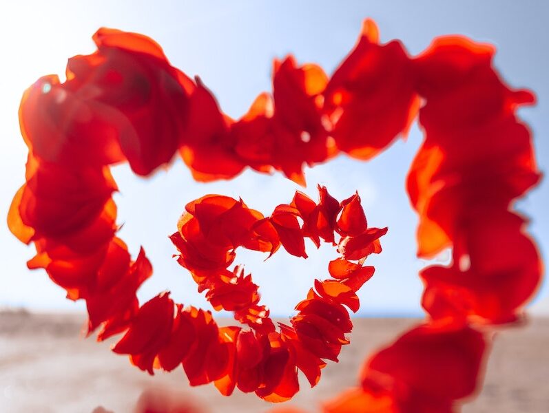 Red Flower on White Sand