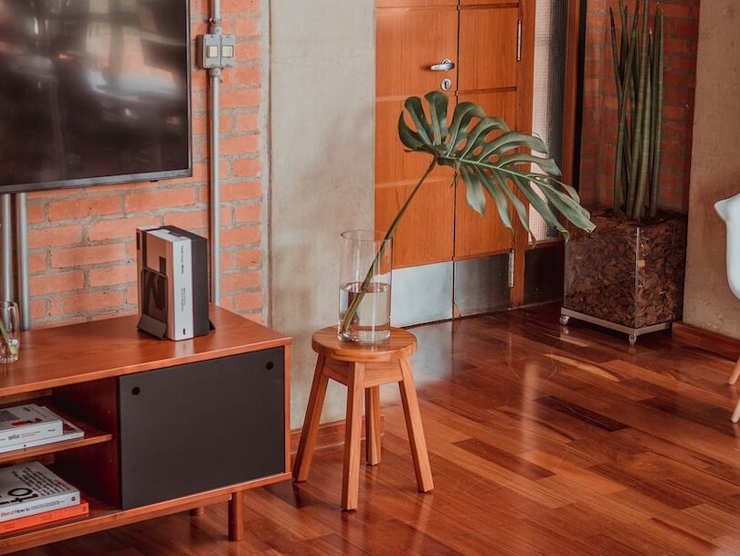 flat screen TV near green leafed plant