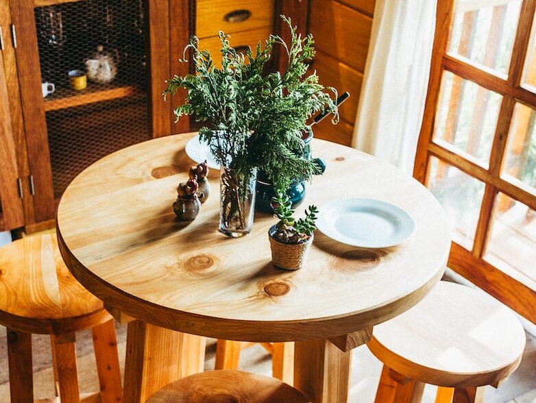 plants on brown wooden table indoors