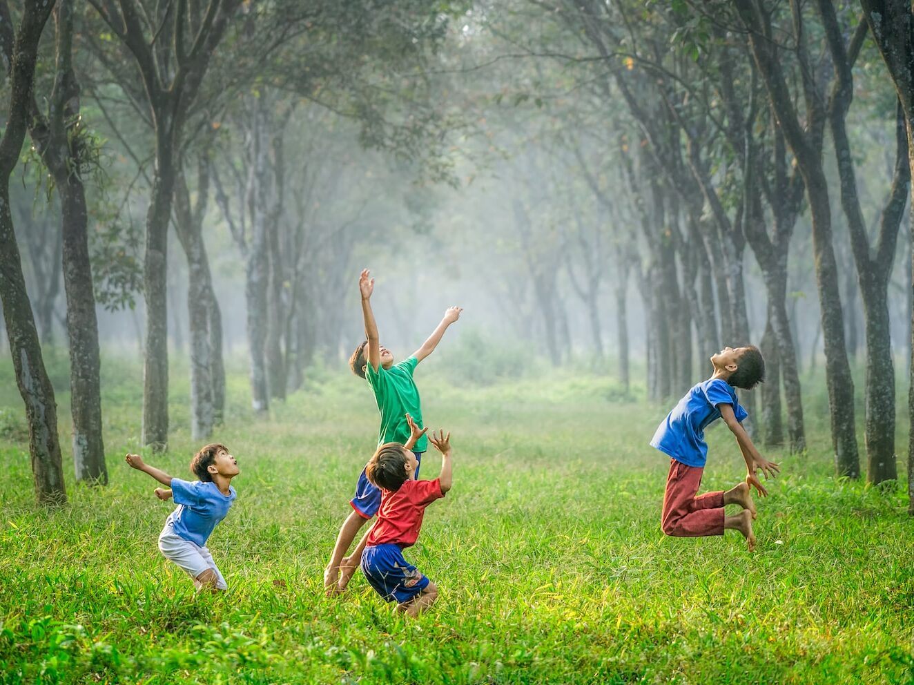 four boy playing ball on green grass