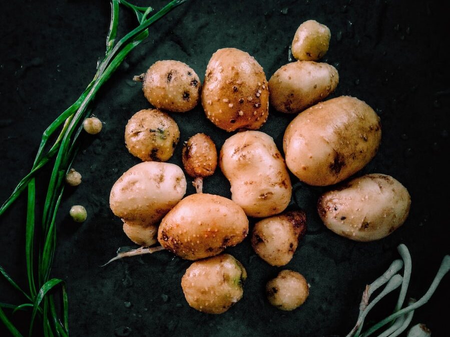 brown and black stones on black surface