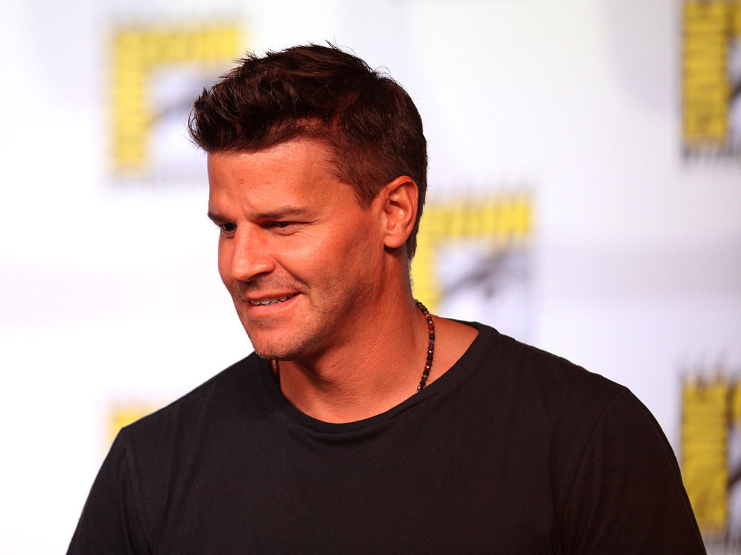 David Boreanaz