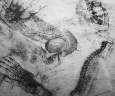 grayscale photography of human skull sketch