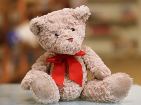 selective focus photo of brown teddy bear with red bow