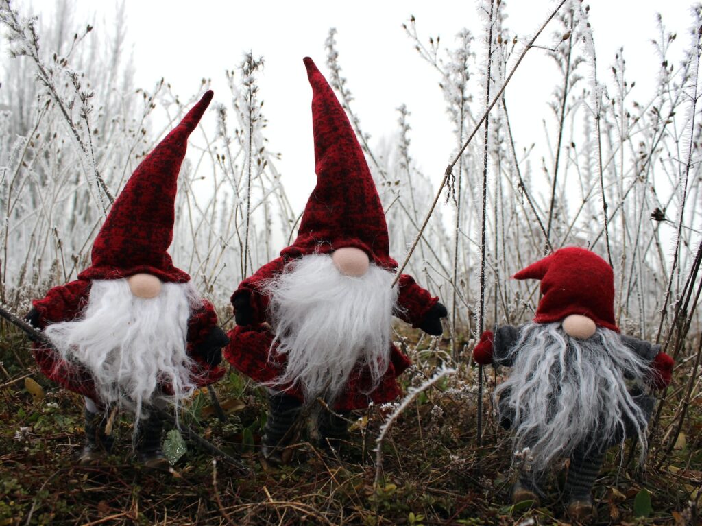 Three Christmas Gnome on grass